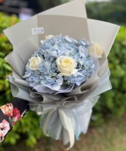 Hydrangea