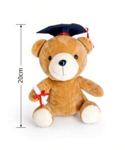 Graduation Bear (Add on) - Image 17