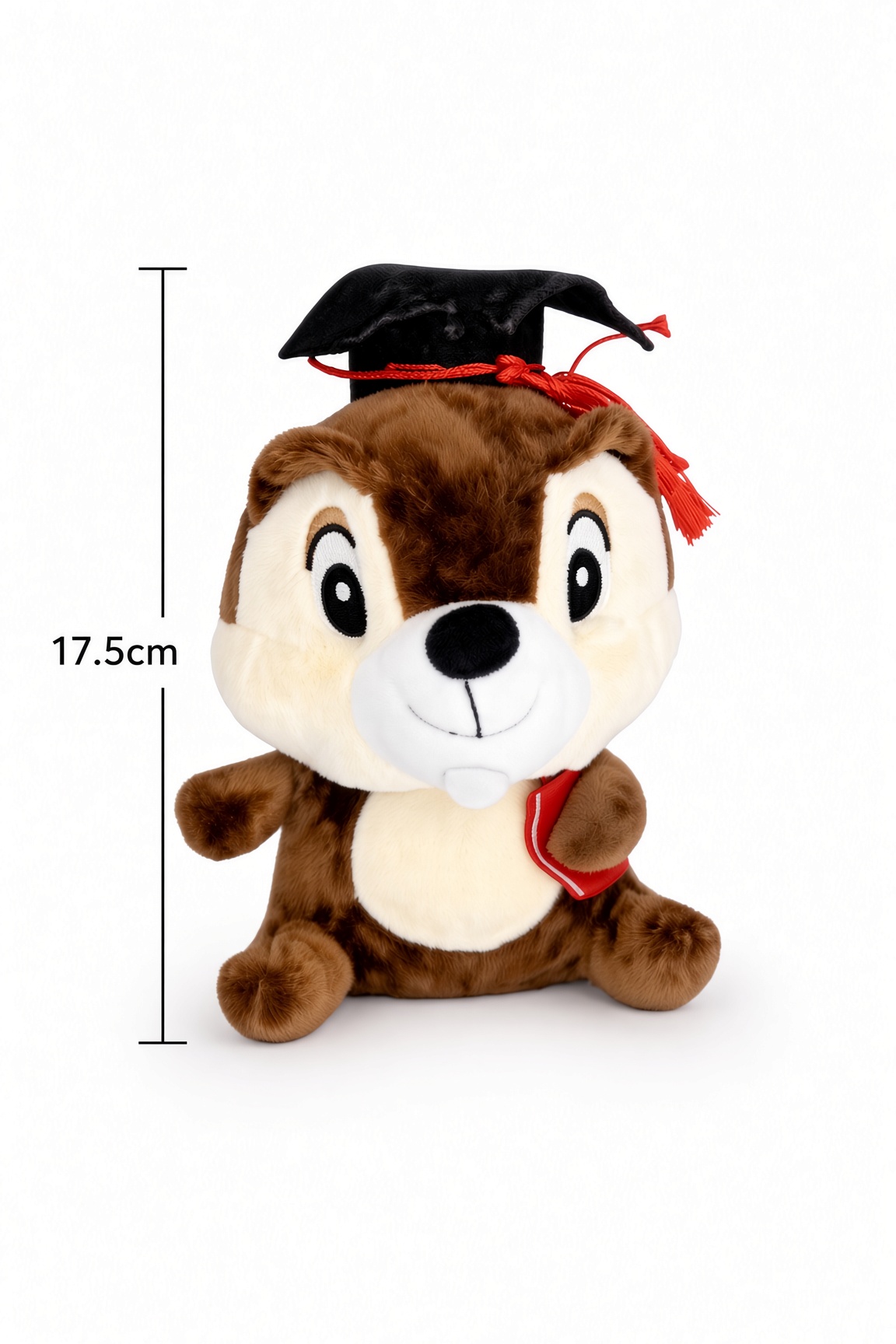 Graduation Bear (Add on) - Image 14