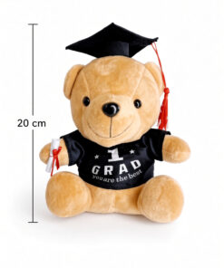 Graduation Bear (Add on) - Image 15