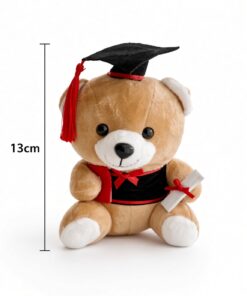 Graduation Bear (Add on) - Image 10