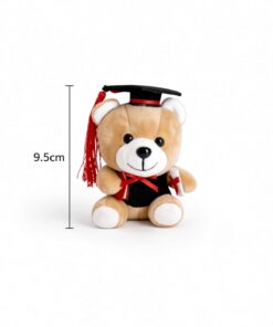 Graduation Bear (Add on) - Image 2