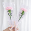 Carnation Bouquet Mini Love Note