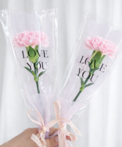 Carnation Bouquet Mini Love Note
