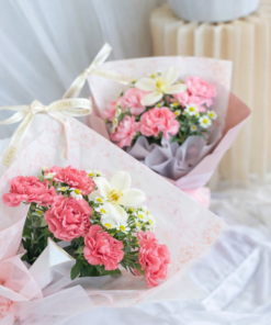 Carnation