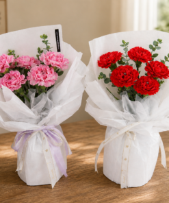 Mother’s Day Bouquet Berry Kisses Carnation