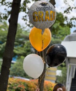 Graduation Bundle (Helium) - Image 3