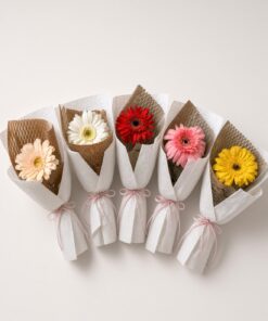 Fresh Gerbera Daisy Bouquet | Single Stalk Daisy