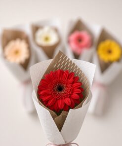 Fresh Gerbera Daisy Bouquet | Single Stalk Daisy - Image 2
