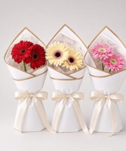 Fresh Gerbera Daisy Bouquet | Red, Cream & Pink
