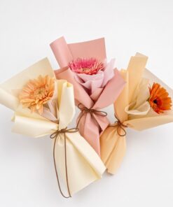 Fresh Gerbera Daisy Bouquet | Single Stalk Daisy