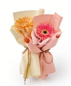 Fresh Gerbera Daisy Bouquet | Single Stalk Daisy - Image 2