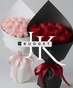 Budget